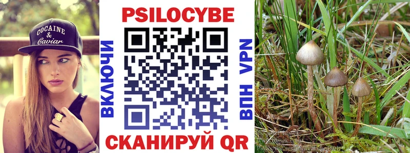 сколько стоит  площадка официальный сайт  Псилоцибиновые грибы мухоморы  Апрелевка 
